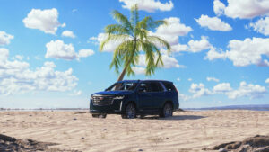 palm coast company logo render san diego